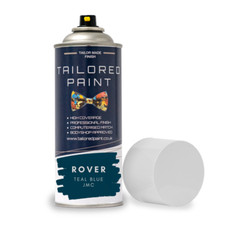 Aerosol Spray Paint For