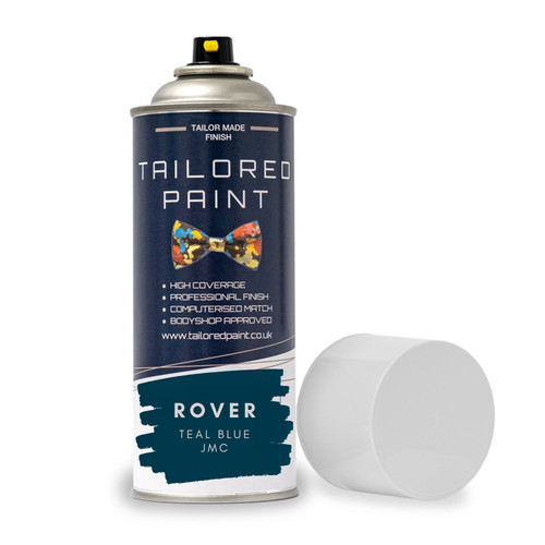 Aerosol spray paint - paint, for